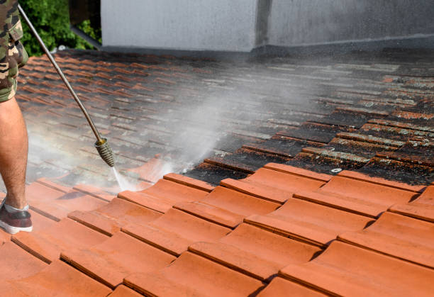 Best Roof Power Washing Services  in Danville, CA