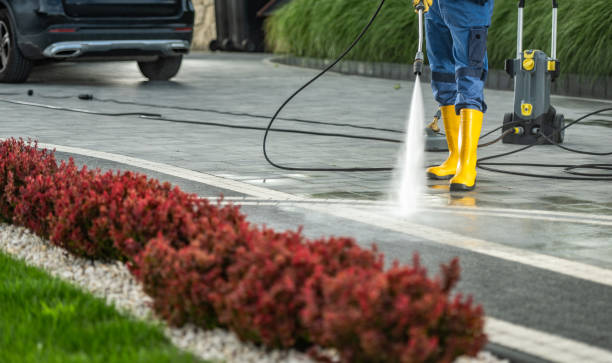 Best Roof Pressure Washing  in Danville, CA